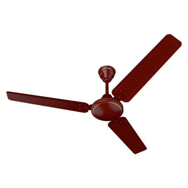 fans
